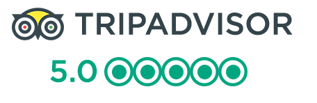 Tripadvisor logo horizontal