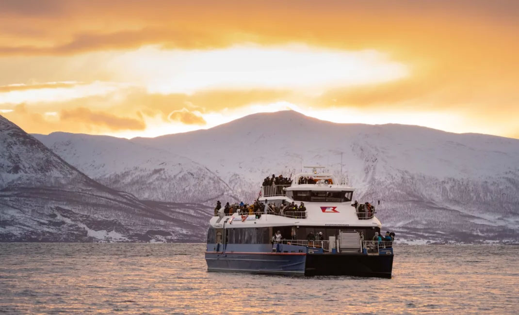 Whale watching tour from ©Norwegian Travel